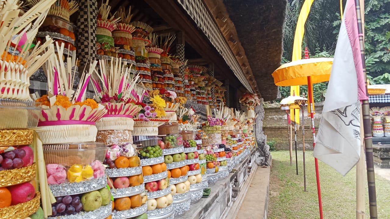 Bagus Bali Tour Information