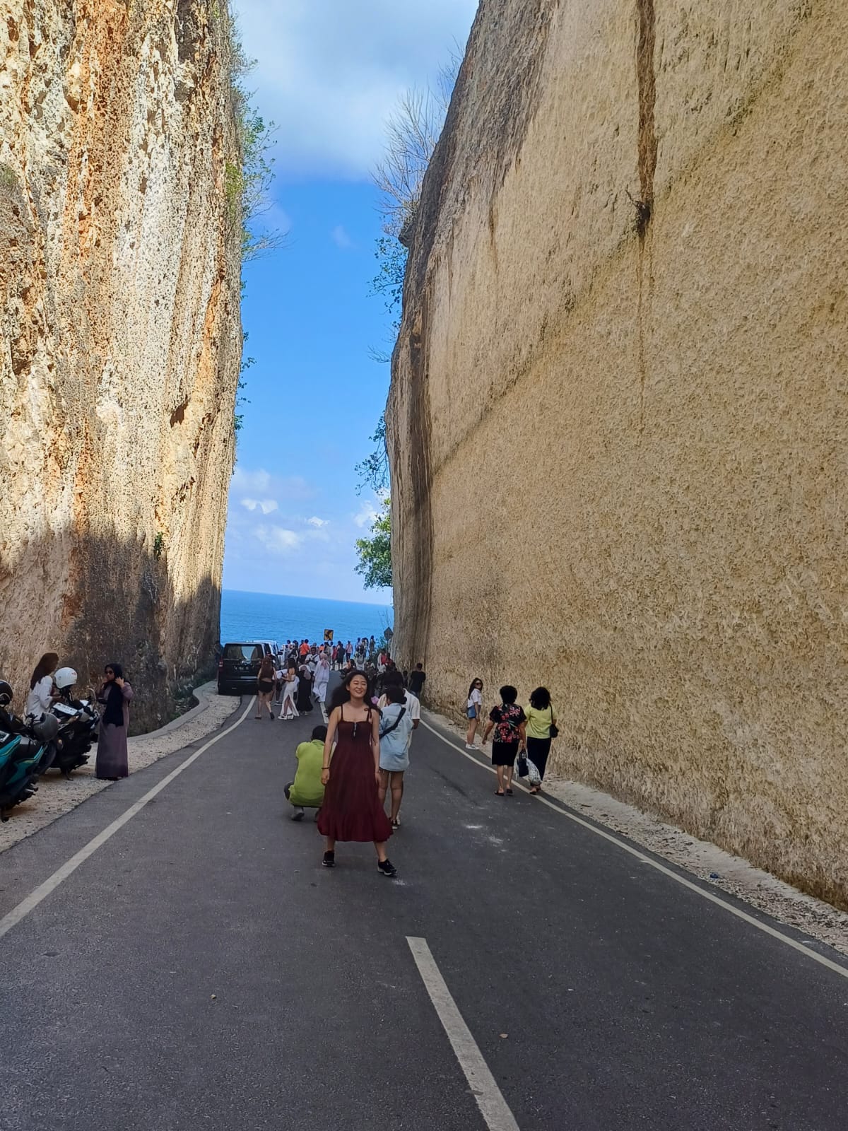 bagus bali tour information