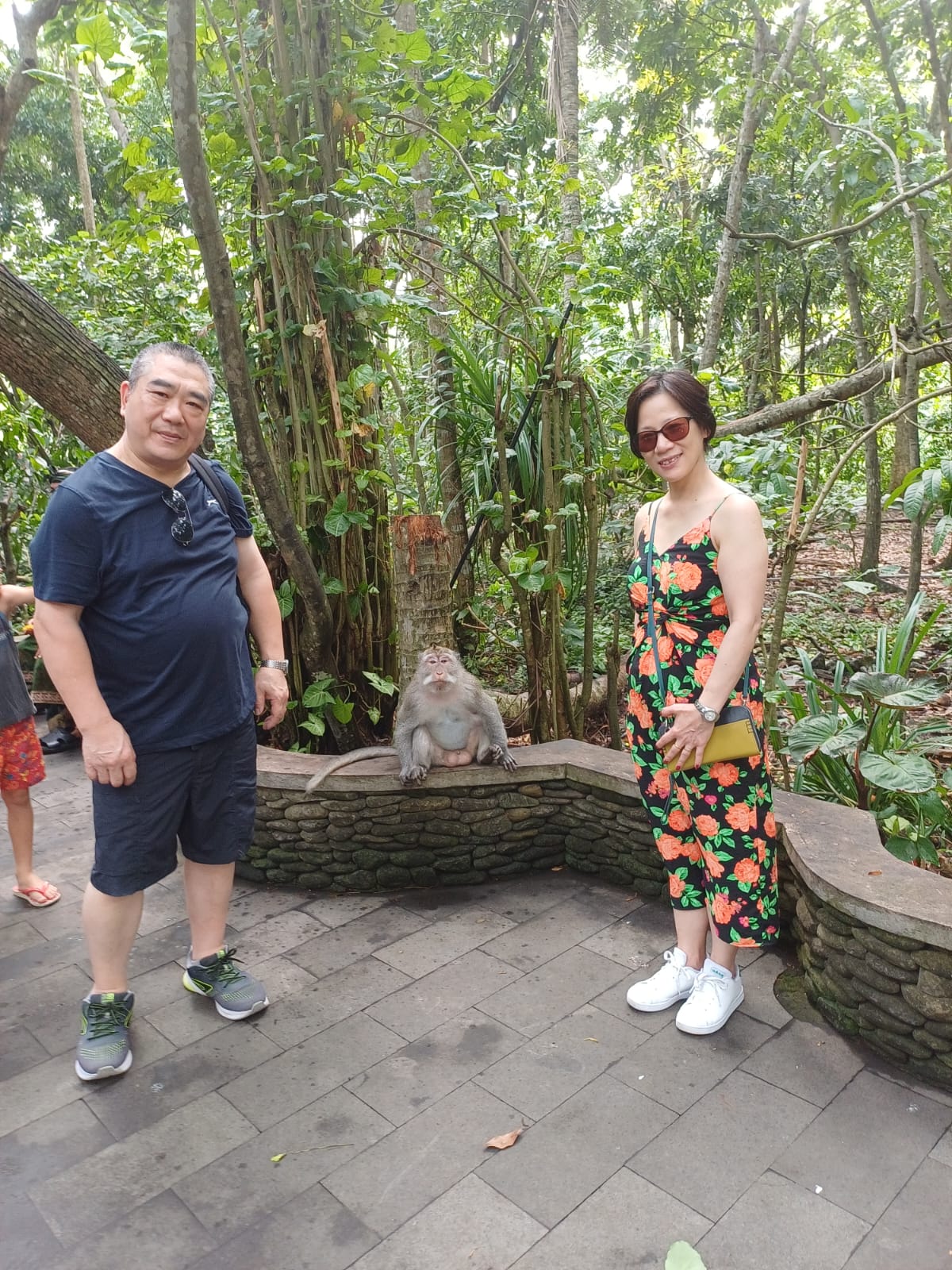 Ubud Mongkey Forest